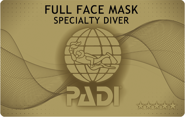 PADIダイビング講習