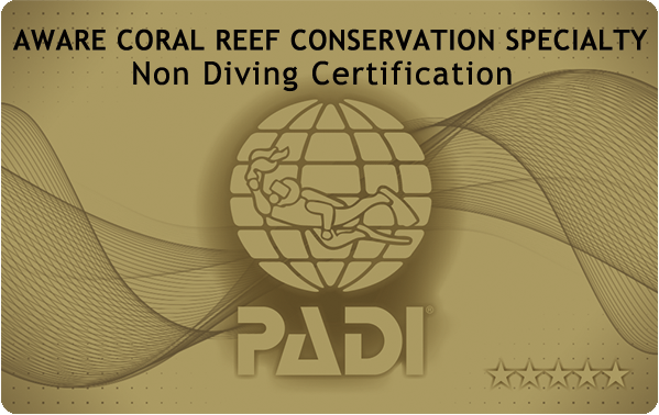 PADIダイビング講習