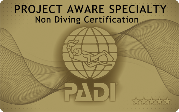 PADIダイビング講習