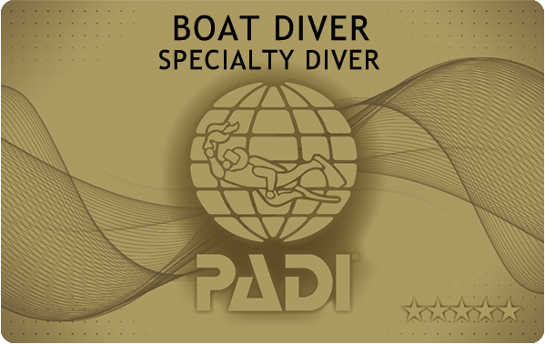 PADIダイビング講習