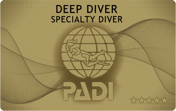 PADIダイビング講習