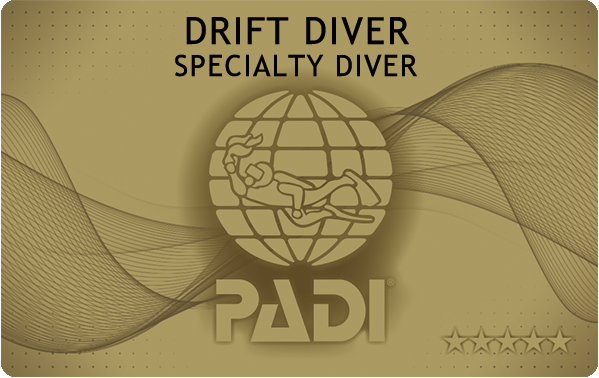 PADIダイビング講習