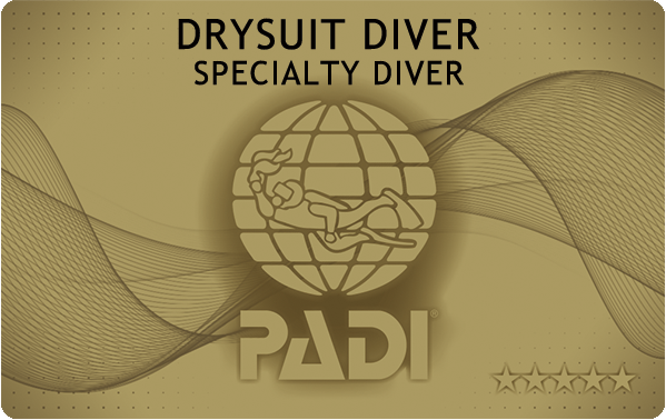 PADIダイビング講習