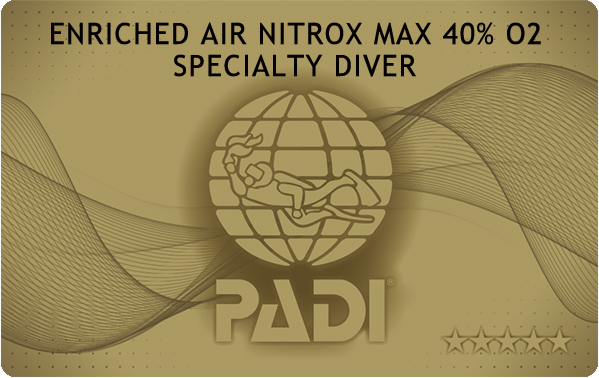 PADIダイビング講習