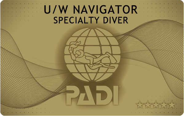 PADIダイビング講習