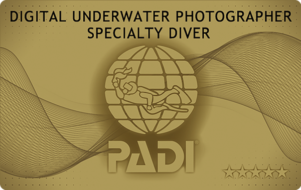 PADIダイビング講習