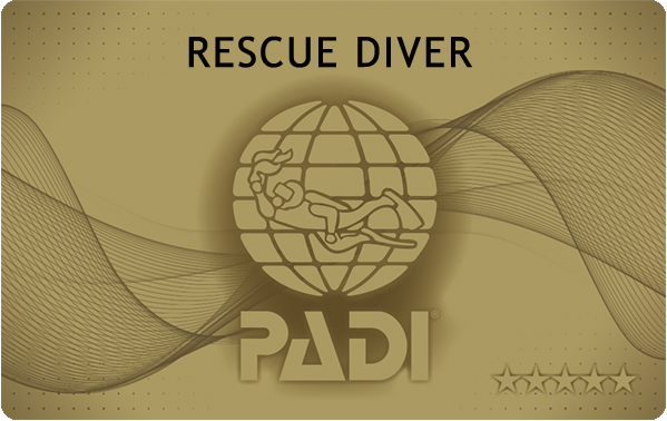 PADIレスキューダイバー講習