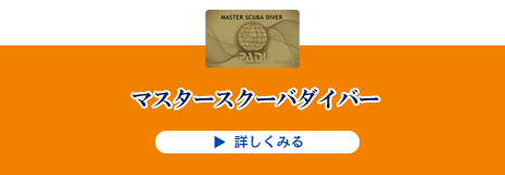 マスタースクーバダイバー
